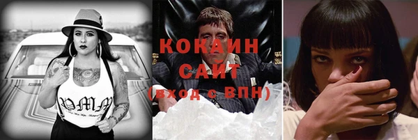 тгк Алексин