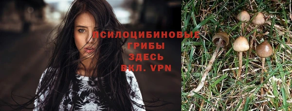 тгк Алексин