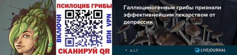 hydra tor Спасск Псилоцибиновые грибы GOLDEN TEACHER наркошоп